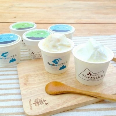 海と山のコラボアイスセット(6個)[配送不可地域:離島]