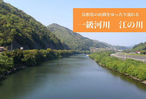 080299【一級河川・江の川の恵み・島根県産】天然鮎約800ｇ