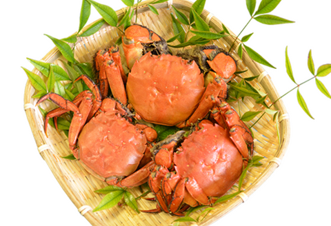 080057【一級河川・江の川の恵み・島根県産】もくずがに1.2kg