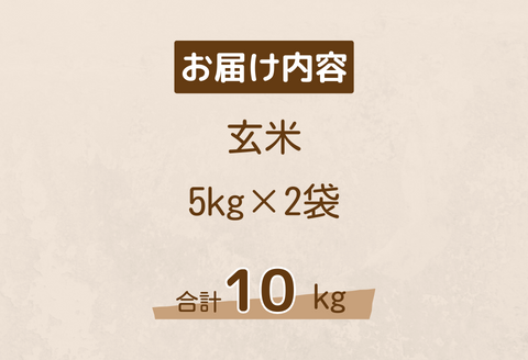150253【令和7年産】しまね川本玄米こしひかり10kg(5kg×2)