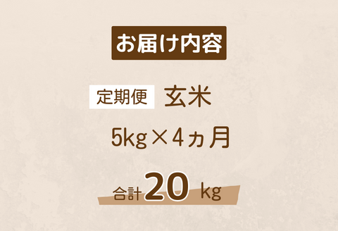 150268【令和7年産／お米定期便／4カ月】しまね川本玄米こしひかり5kg(計20kg）