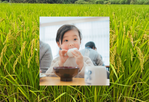 150287【令和7年産】しまね川本こしひかり4kg（2kg×2）	