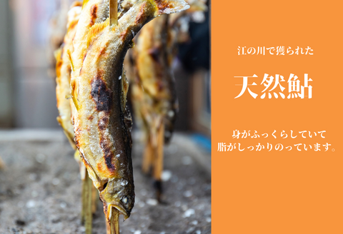 080299【一級河川・江の川の恵み・島根県産】天然鮎約800ｇ