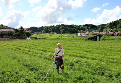 240203【農と里山S-oil：川本町産/6ヵ月定期便】生搾り純正えごま油（おひとり様向け2ヵ月ごと2本）