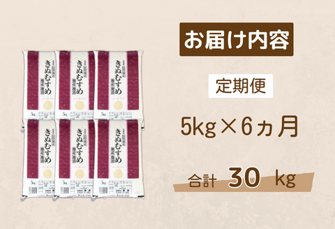 150262【令和7年産／お米定期便／6ヵ月】しまね川本きぬむすめ5kg(計30kg）