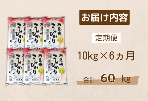 150265【令和7年産／お米定期便／6ヵ月】しまね川本こしひかり10kg(計60kg）