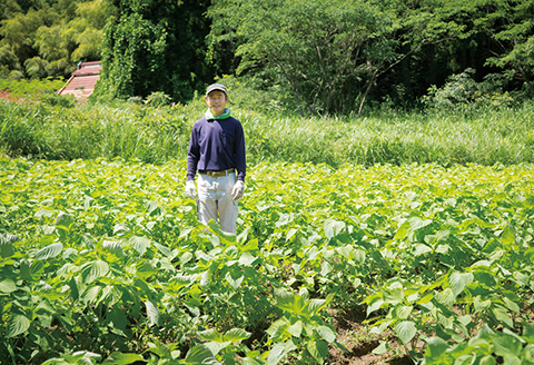 060116川本町産えごま油（特選生搾）Mサイズ 105g（113ml）×３本セット
