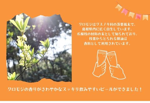 350318【ハーブでさわやか】和食に合う！クロモジ使用のクラフトビール(3本セット)