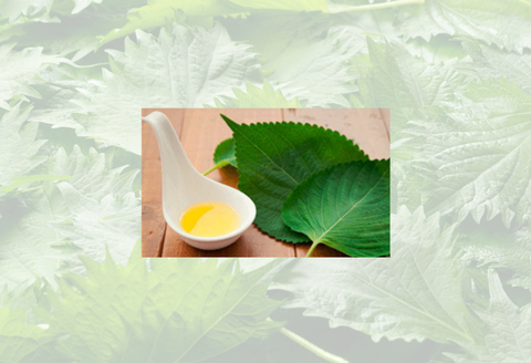 160111【川本からの贈り物】えごま油2本（1本120g）