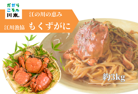 080206【一級河川・江の川の恵み・島根県産】もくずがに 3kg