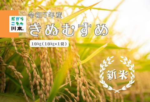 150252【令和7年産】しまね川本きぬむすめ10kg