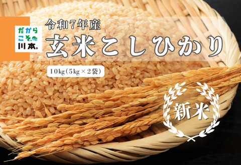 150253【令和7年産】しまね川本玄米こしひかり10kg(5kg×2)