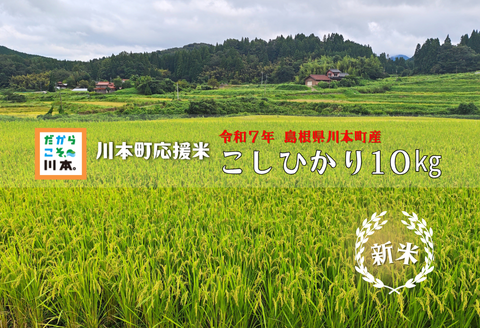 150255【令和7年産】川本町応援米10kg -こし