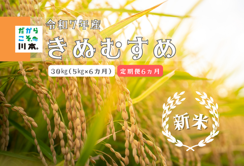 150262【令和7年産／お米定期便／6ヵ月】しまね川本きぬむすめ5kg(計30kg）
