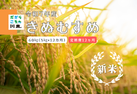 150263【令和7年産／お米定期便／12ヵ月】しまね川本きぬむすめ5kg(計60kg）