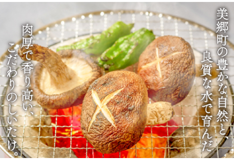 菌床しいたけ　かご入り【椎茸 約1.5kg 15~20個入り かご入り 野菜 山菜 きのこ キノコ 菌床 こだわり 肉厚 ステーキ オーブン焼き 冷蔵】
