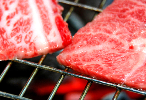 【とろける美味しさ】石見和牛　肩ロース焼肉用　450g【黒毛和牛 肩ロース 焼肉用 スライス 牛肉 ブランド牛 石見和牛 焼き肉 スライス肉 自宅用 家庭用 贈答用 贈答 お祝い パーティ ギフト プレゼント 冷蔵 チルド】