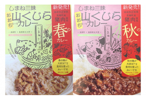 みさと産直 山くじらキーマカレーセット（松）