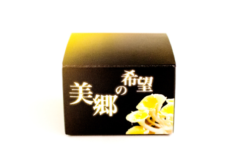 美肌クリーム　美郷の希望（みさとのきぼう）1個（30g）【保湿クリーム フェイスクリーム シミ予防 しみ予防 しみ そばかす予防 そばかす 老化予防 美肌 男性用 女性用 美肌クリーム クリーム スキンケア スキンクリーム エルゴチオネイン タモギタケエキス タモギダケ タモギ茸】