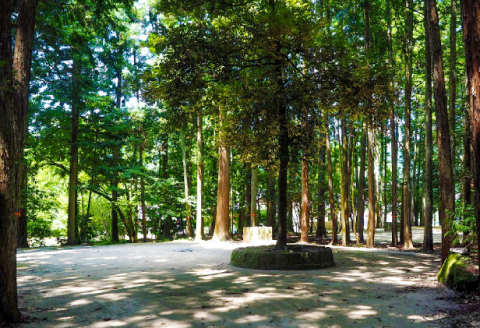 石見ワイナリー カヌーの里おおち オートキャンプ場 プライベートサイト 宿泊補助券【3000円分 アウトドア キャンプ 宿泊 車2台 自然 プライベート ペット同伴可能 のんびり 焚き火】