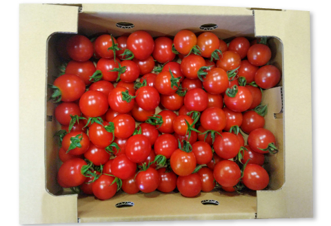 美郷農園　ミニトマト【ミニトマト 甘い 1kg トマト とまと 旬 濃厚 リコピン お弁当 食材 野菜 期間限定 6月～12月発送】