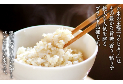 〈先行予約〉新米 令和6年産 美郷町産コシヒカリ 玄米 10kg【お米 10kg 1袋 玄米 ブランド米 米 こしひかり お米 先行予約 2024年産】