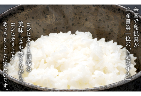 美郷町産きぬむすめ 10kg【お米 10kg 5kg×2袋 精米 白米 ブランド米 米 きぬむすめ お米】