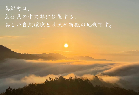 【令和7年産　数量限定】 島根県美郷町産 無洗米きぬむすめ 5kg【お米 5kg 精米 白米 ブランド米 米 きぬむすめ お米 2025年産】