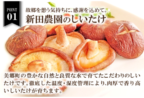 菌床しいたけ　かご入り【椎茸 約1.5kg 15~20個入り かご入り 野菜 山菜 きのこ キノコ 菌床 こだわり 肉厚 ステーキ オーブン焼き 冷蔵】