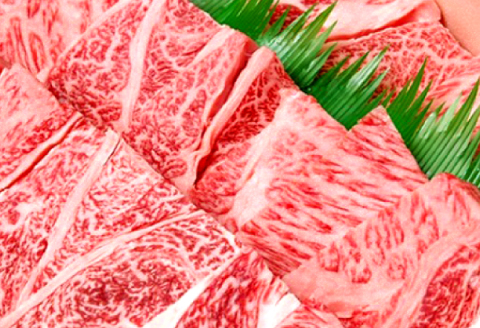 【とろける美味しさ】石見和牛　肩ロース焼肉用　450g【黒毛和牛 肩ロース 焼肉用 スライス 牛肉 ブランド牛 石見和牛 焼き肉 スライス肉 自宅用 家庭用 贈答用 贈答 お祝い パーティ ギフト プレゼント 冷蔵 チルド】