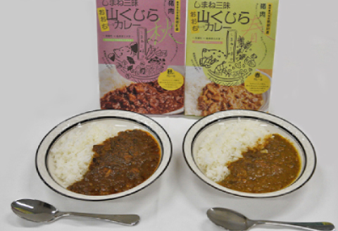 みさと産直 山くじらキーマカレーセット（梅）