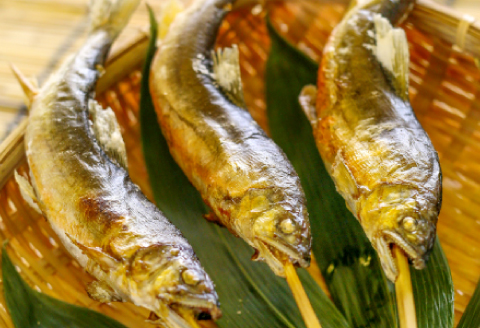 【一級河川・江の川の恵み】島根県産　天然冷凍鮎　約800g【魚介類 魚 川魚 あゆ アユ 天然 冷凍あゆ 高鮮度 冷凍 小分け 便利 期間限定 季節限定 数量限定 夏季限定】