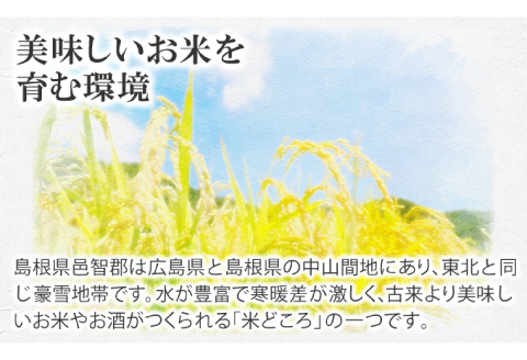 美郷町産きぬむすめ 10kg【お米 10kg 5kg×2袋 精米 白米 ブランド米 米 きぬむすめ お米】