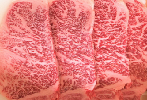 【定期便3ヶ月】石見和牛でちょっと贅沢！ロース定期便・竹（合計約3.5kg）【定期便 3回 和牛 ロース 焼肉用 2～4人前程度 すき焼き用 4～6人前程度 550g×2 スライス ステーキ 約170g×4枚 8人前程度 2セット 合計約3.5kg 定期 牛肉 石見和牛 すき焼き 焼き肉 黒毛和牛 ブランド牛 限定生産 希少 贈答 ギフト 自宅用 贅沢 冷蔵 チルド】