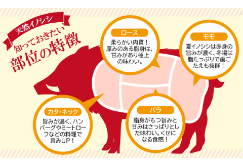 イノシシ肉 味噌すき鍋セット 約1.8kg【冬猪肉 ロース 500g 夏猪肉 モモ 500g ミンチ 500g 鍋の味噌 100g 3パック 肉 猪肉 いのしし肉 イノシシ肉 しし肉 鍋 すき鍋 ぼたん鍋 味噌 みそ ミソ ジビエ鍋 冷凍 真空パック】