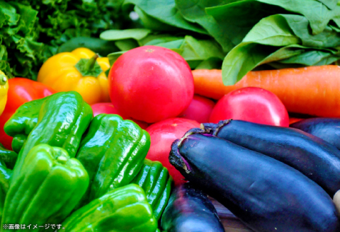 バーク堆肥　みどり　40L×3袋【植物 土 園芸 ガーデニング 国産 家庭菜園 畑 野菜 花 土作り 肥料 たい肥】