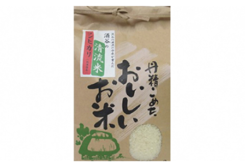 みさと産直 山くじらキーマカレー＆ライスセット