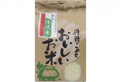 みさと産直 山くじらキーマカレー＆ライスセット【3か月定期便】【定期便 3回定期 お肉 肉 猪肉 イノシシ肉 いのしし肉 しし肉 お米 米 コシヒカリ 加工品 レトルト カレー 缶詰 缶 キーマカレー 大豆 島根県立大学 美郷町役場 共同開発】
