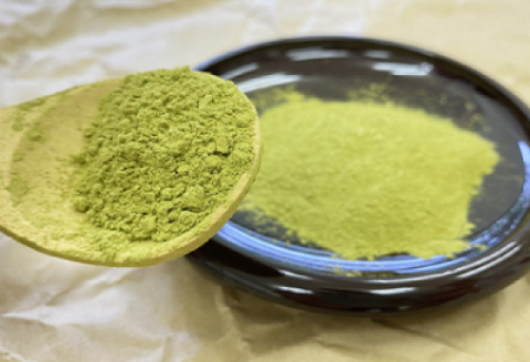 濃い緑茶アイス 6個入り【アイス 91ml 6個 緑茶 お茶 甘さ控えめ すっきり 大人の後味 アイスクリーム カップ 菓子 お菓子 デザート 贈答 ギフト】