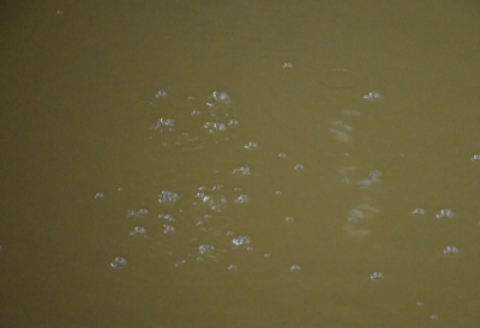 千原温泉（源泉100％）　温泉水10L