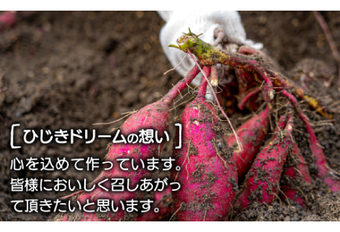 干し芋 紅はるか 1.2kg (200g×6袋）【干しいも 1.2キロ 200グラム 6袋 お菓子 菓子 和菓子 おやつ デザート 加工食品 ほしいも 野菜 さつまいも サツマイモ 紅はるか 小分け 個包装 人気 真空包装 真空パック】