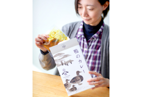 鴨のカレー 250g×3個セット【カモ 手羽元 ジビエ カレー スープカレー レトルト 常備食 おかず 簡単調理 セット】