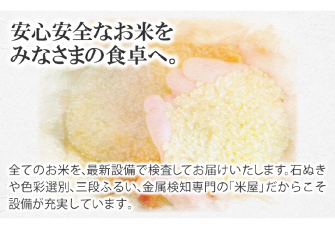 〈先行予約〉新米 令和6年産 美郷町産コシヒカリ 玄米 10kg【お米 10kg 1袋 玄米 ブランド米 米 こしひかり お米 先行予約 2024年産】