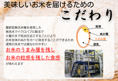 【令和7年産　数量限定】 島根県美郷町産 無洗米きぬむすめ 5kg【お米 5kg 精米 白米 ブランド米 米 きぬむすめ お米 2025年産】