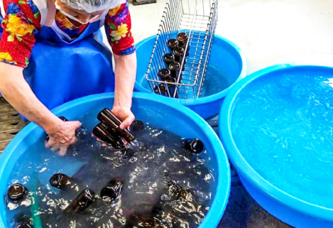 マタタビセット