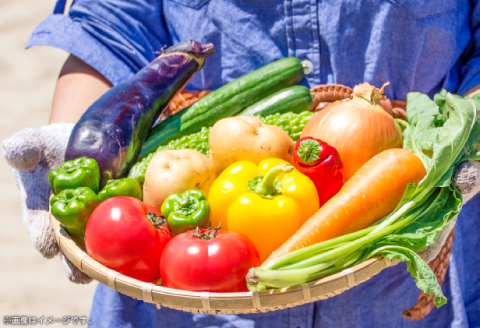 混合用土 14L×4袋【堆肥 肥料 ブレンド 土 花 野菜 完熟たい肥 発酵 園芸 家庭菜園 畑】