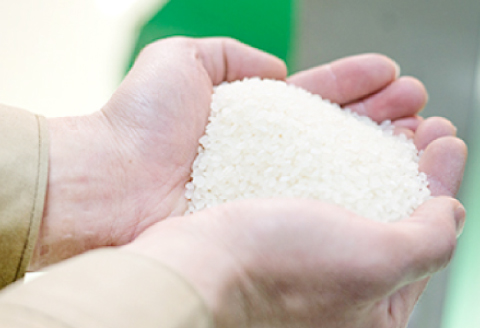 令和7年産 美郷きぬむすめ 10kg（5kg×2袋）【米 お米 精米 白米 ブランド米 きぬむすめ 10kg 5kg×2袋 2025年産】