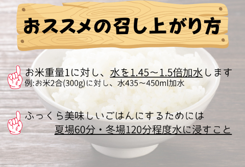 【令和7年産　数量限定】 島根県美郷町産 無洗米きぬむすめ 5kg【お米 5kg 精米 白米 ブランド米 米 きぬむすめ お米 2025年産】