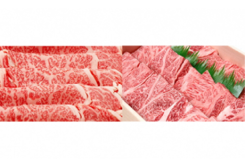 【定期便6ヶ月】石見和牛でちょっと贅沢！焼肉・すき焼き定期便（合計約2.6kg）【定期便 6回 和牛 黒毛和牛 ミックス 肩ロース ロース すき焼き用 焼肉用 スライス スライス肉 肉 牛肉 ブランド牛 石見和牛 希少 雌牛 メス牛 血統 最高級 贅沢 ご褒美 毎月お届け 定期 おかず すき焼き 焼き肉 焼肉 贈答 お祝い ギフト プレゼント 冷蔵 チルド】