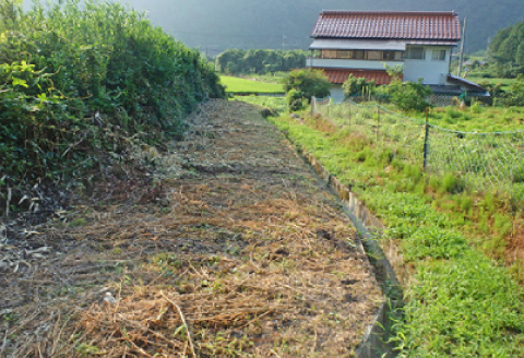 空き家・空き地の草刈り　5時間コース